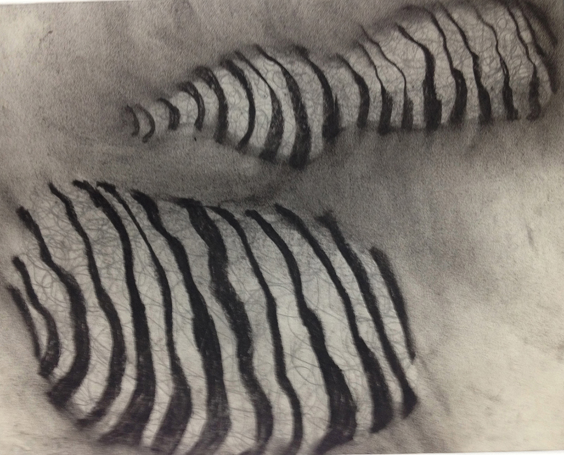 Form Studies - Contour