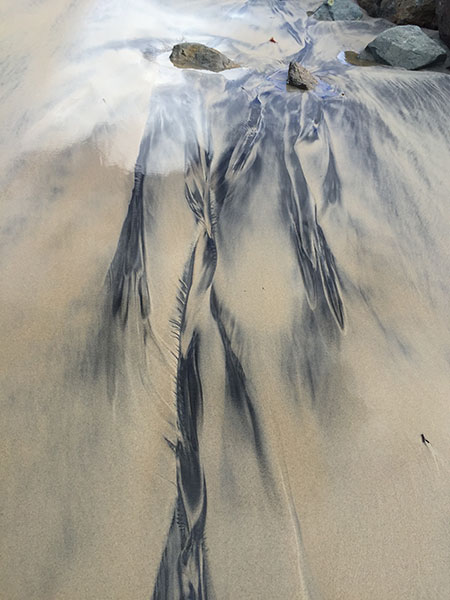 Found Marks Nature